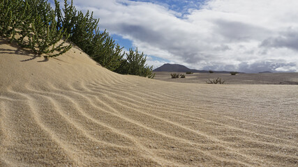 Sanddünen und wüstenähnliche Landschaft nahe Corralejo auf Fuerteventura