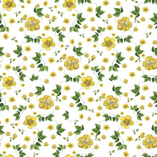 Seamless Watercolor Pattern With Yellow Buttercups And Greenery