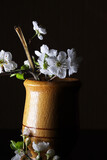 Fototapeta Storczyk - still life with spring flowers