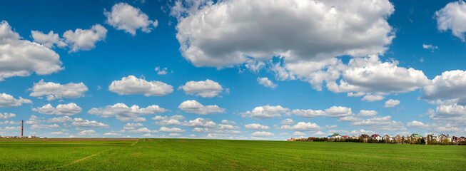 Wall Mural - big panorama of a field planted with wheat or rye and the village on the horizon, beautiful sky, agriculture concept, site cap