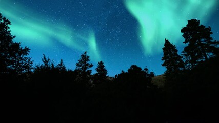 Wall Mural - aurora borealis green loop winter mountain forests northern lights