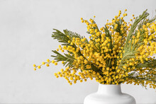 Vase With Beautiful Mimosa Flowers On Light Background