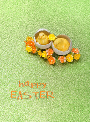 Wall Mural - Happy Easter greeting card. Easter chickens in eggs and flowers on green glittering background.