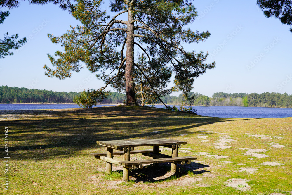 picnic table sits ready for picnic aside lake in Hostens gironde france - obrazy, fototapety, plakaty 