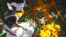 Little Girl And Grandma In A Funeral Rite With Cempasuchil Flowers During The Day Of The Dead