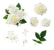 Set of white rose flowers, leaves and gypsophila with example of floral arrangement isolated