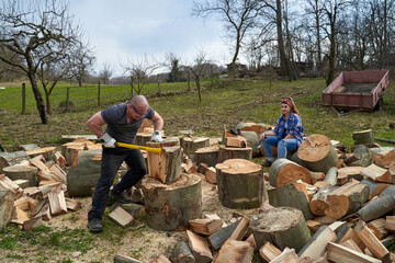 Wall Mural - Couple of farmers splitting wood