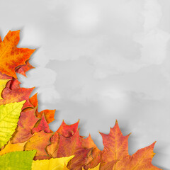 Wall Mural - autumn leaves.