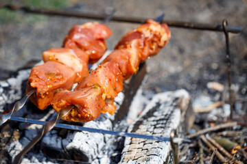 Juicy meat on a skewer. Frying kebabs in the fresh air. Summer afternoon picnic