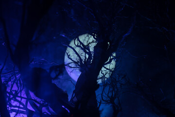 Wall Mural - Spooky dark landscape showing silhouettes of trees in the swamp on misty night. Night mysterious landscape in cold tones - silhouettes of the bare tree branches against the full moon