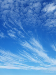 blue sky with fluffy clouds