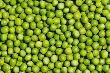 Green Peas Close Up. Green Peas Texture. Healthy Eating Seeds Of Green Vegetable Pod. Full Frame Of Green Peas.