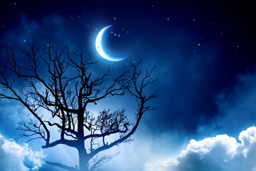 Wall Mural - spooky night image . mixed media