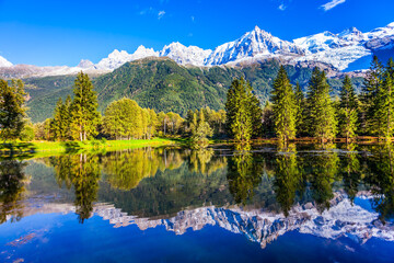 Canvas Print - Snowy peaks of the Alps