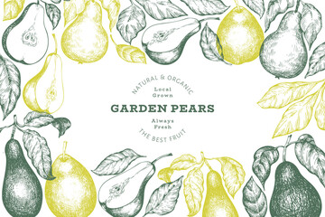 Pear design template. Hand drawn vector garden fruit illustration. Engraved style garden retro botanical banner.