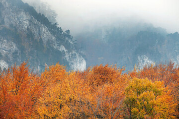 Wall Mural - Fall landscape in Mehedinti Mountains, Romania, Europe