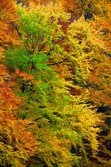 Wall Mural - Fall landscape in Mehedinti Mountains, Romania, Europe