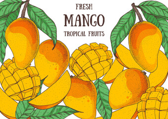 Wall Mural - Mango fruit hand drawn package design. Vector illustration. Design, package, brochure illustration. Mango frame illustration. Can used for packaging design. Colorful.