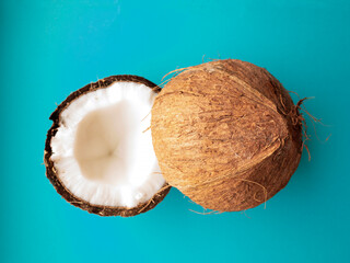 Coconut tree fruit coconut split into two halves isolated on blue background