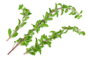 Wall Mural - Oregano or marjoram leaves isolated on white background with clipping path and full depth of field. Top view. Flat lay