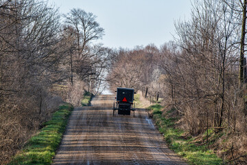 Wall Mural - Amish Buggy on Rural Indiana Road in Early Springtime