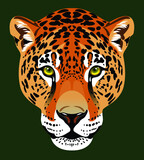 Fototapeta Konie - Leopard portrait, vector graphics, big predatory cat 