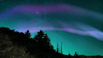 northern lights purple arch loop winter mountain forest