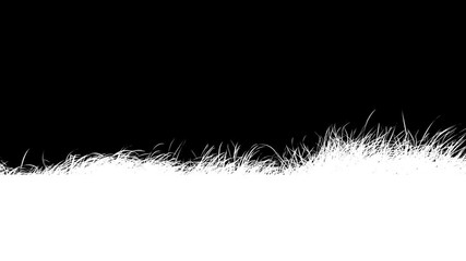 Wall Mural - grass wind loop with alpha channel. easy to use and change color you can place on footage or backgro