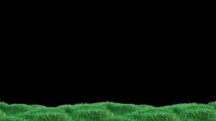 Wall Mural - grass wind loop with alpha channel. easy to use and change color you can place on footage or backgro