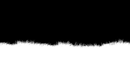 Wall Mural - grass wind loop with alpha channel. easy to use and change color you can place on footage or backgro