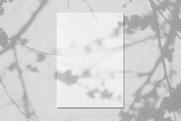 Empty white vertical rectangle poster mockup with soft shadows of blooming tree leaves and flowers on neutral light grey concrete wall background. Flat lay, top view