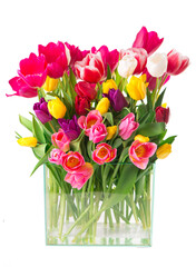 Sticker - Many beautiful colorful tulips with leaves in a glass vase isolated on transparent background. Photo with fresh spring flowers for any festive design