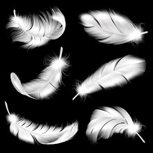 White Feathers Realistic Set. Falling Fluffy Twirled Bird Plume In Different Angle, 3d Flying Angel Or Swan Quill. Symbol Of Lightness And Softness, Vector Isolated Collection