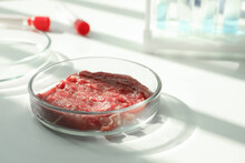 Petri Dish With Pieces Of Raw Cultured Meat On White Table In Laboratory, Closeup