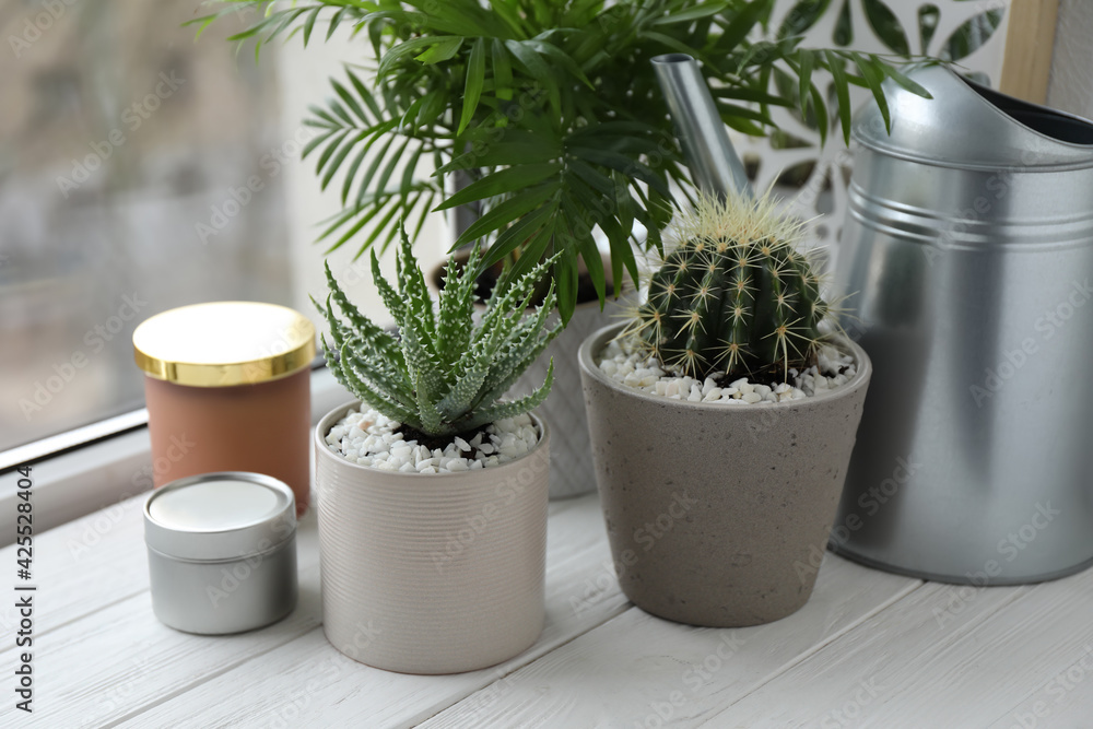 Beautiful Aloe, Cactus, Chamaedorea in pots with watering can and decor on white wooden windowsill, closeup. Different house plants - obrazy, fototapety, plakaty 