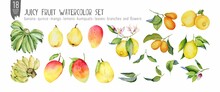 Tropical Fruits, Leaves And Flovers Hand Drawn Isolation On White Watercolor Set. 