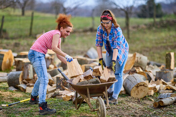 two women working together to put firewood for the winter