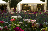 Fototapeta Kwiaty - various flower arrangements in the open air with gazebo in the background