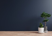 Empty Room Dark Blue Walls, With Beautiful Plants On The Side Of The Floor.3d Rendering.