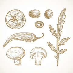 Wall Mural - Hand Drawn Vegetables and Herbs Vector Illustrations Collection. Tomato, Olives, Pepper, Mushrooms and Arugula Sketches Set. Natural Food Doodles. Isolated