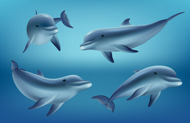 Canvas Print - Dolphins realistic. Ocean or marine animals swim fishes with flippers deep blue sea underwater fauna decent vector realistic dolphins collection