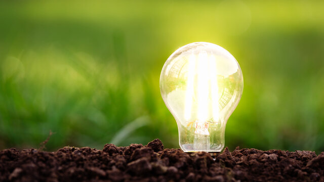 energy efficient led filament lightbulb glowing in ground with grass on the background. planet's cli