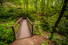 Chimney Rock Trail. North Carolina