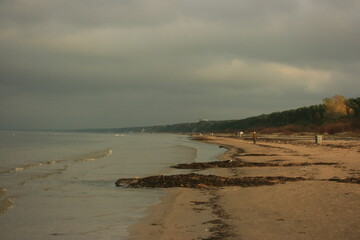 Wall Mural - beach and sky