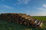 Fototapeta Natura - A pile of chopped wood, prepared for firewood 