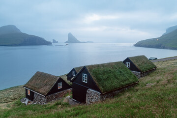 Wall Mural - Picturesque view of tradicional faroese grass-covered houses