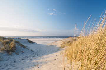 Path to the beach and ocean at the baltic sea