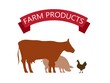 © Tatilya - Farm products beef pork and chicken vector illustration in flat style.