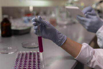 Sticker - Close-up of scientist in protective glove holding test tube with liquid during scientific experiment in the lab