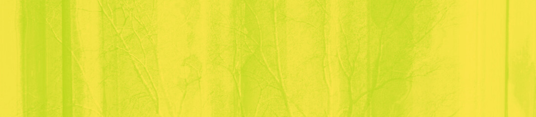 abstract lime and yellow colors background